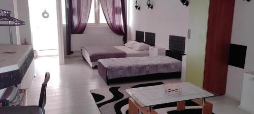 Mali Mokri Lug的住宿－DIVLJI RAJ Studio apartman 35m2，小房间设有两张床、一张桌子和一张沙发