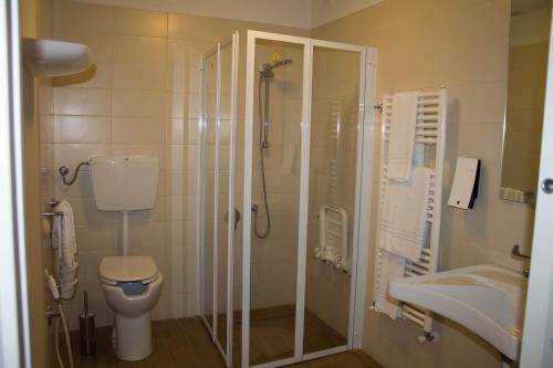a bathroom with a shower and a toilet and a sink at Vele Storiche Pisane - free private parking in Pisa