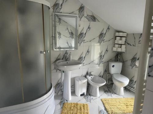 a bathroom with a sink and a toilet and a mirror at Vila Firuta Borsa in Băile Borşa