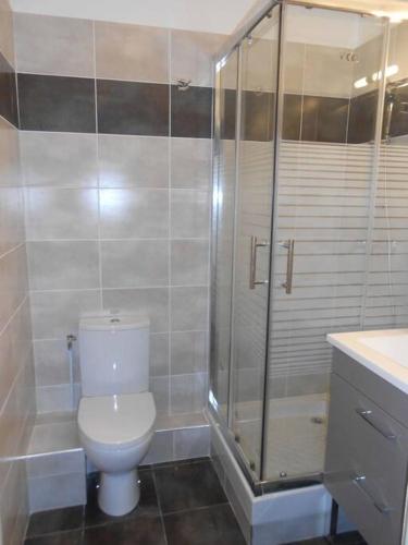une salle de bain avec toilettes et douche dans l'établissement T1 parking et wifi proche centre et station tram, à Montpellier
