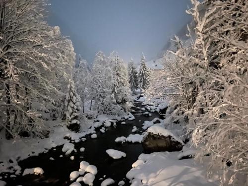 a river in a snowy forest with snow covered trees at Zillertal Residenz in Ginzling