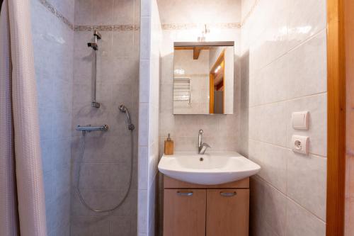 ein Bad mit einem Waschbecken und einer Dusche in der Unterkunft Gîte Tournette in Thônes
