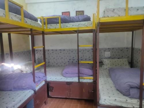 two bunk beds in a room with purple beds at Gangesh Hotel in Rishīkesh