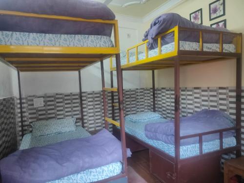 two bunk beds in a room with purple beds at Gangesh Hotel in Rishīkesh