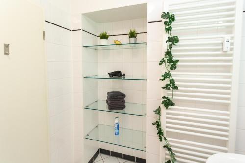 La salle de bains est pourvue d'étagères en verre et de plantes sur le mur. dans l'établissement FullHouse - Leipzig - Nord6 - Jungle Apartment, à Leipzig