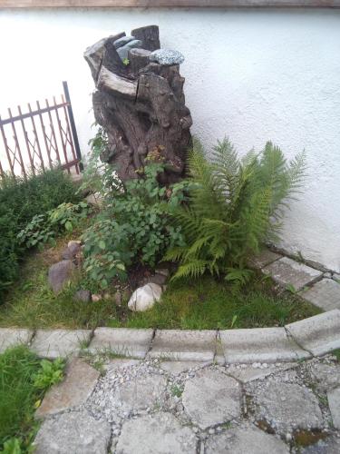Κήπος έξω από το Guest House AHP
