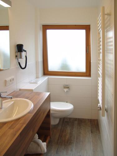 a bathroom with a toilet and a sink and a window at Hotel Alpensonne in Riezlern