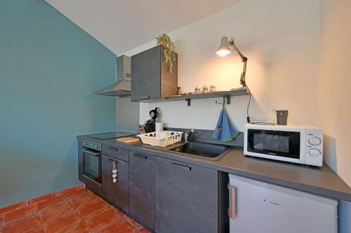 une cuisine avec un évier et un micro-ondes dans l'établissement Le Luminux - CENTRE-Ville d'AVIGNON - WIFI, à Avignon