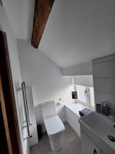 a white bathroom with a toilet and a sink at Mount Cottage in Shrewsbury