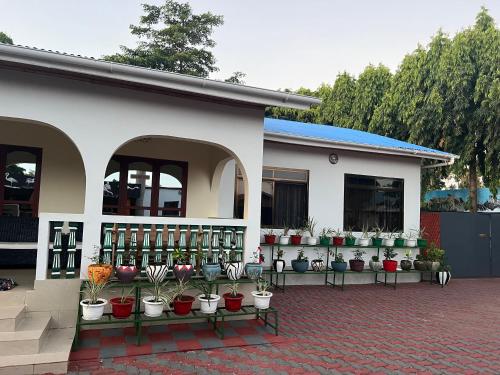 a building with a bunch of potted plants on display at Kilimanjaro Trekcity Hostel in Moshi