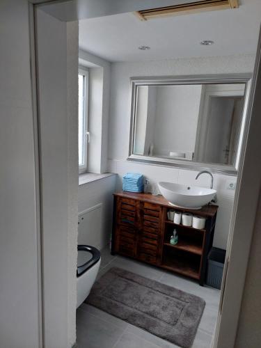 愛爾福特的住宿－Erlgrund，一间带水槽、卫生间和镜子的浴室