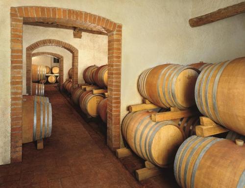 una fila de barriles de madera en una bodega en Tenuta Casabianca en Murlo