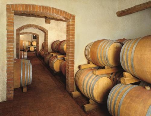 a row of wooden barrels in a wine cellar at Tenuta Casabianca in Murlo