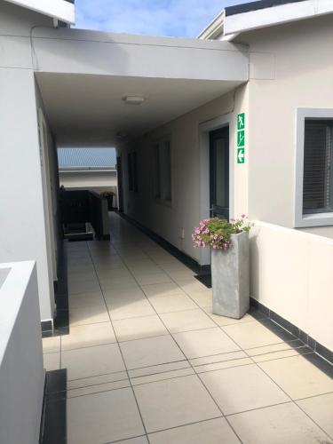 an empty hallway of a building with a potted plant at 19 Lagoon Terrace in Knysna