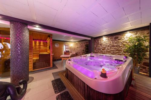 a jacuzzi tub with purple lighting in a room at Le Domaine du Verger gîtes et SPA in Osenbach