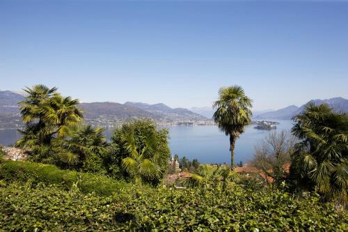 widok na jezioro z palmami na wzgórzu w obiekcie Villa Anna Isole Borromee w mieście Baveno