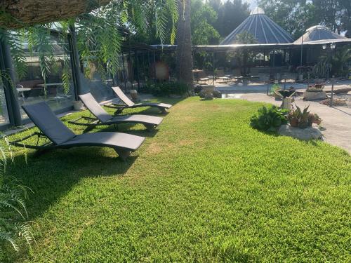 a row of lounge chairs sitting on the grass at Masseria Don Vito in Merine