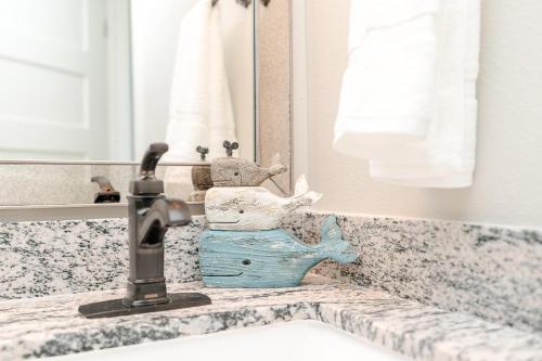 Ένα μπάνιο στο CDM 204 - Turtle-y Awesome