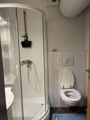a small bathroom with a shower and a toilet at Apartma Ajda in Moravske Toplice