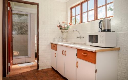 a kitchen with a sink and a microwave at Moonlight Meadows just outside Dullstoom in Dullstroom