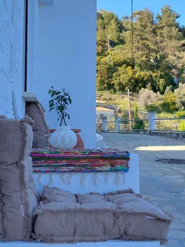 - un bâtiment bleu avec un canapé et une plante dans l'établissement Helens Mountain House, à Samos