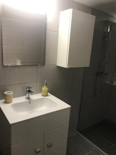 a bathroom with a sink and a mirror and a shower at Eva's apartment in Plataria