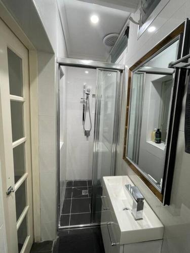 a bathroom with a shower and a sink and a mirror at Ideal 3 Bedroom House City Centre Glebe 2 E-Bikes Included in Sydney