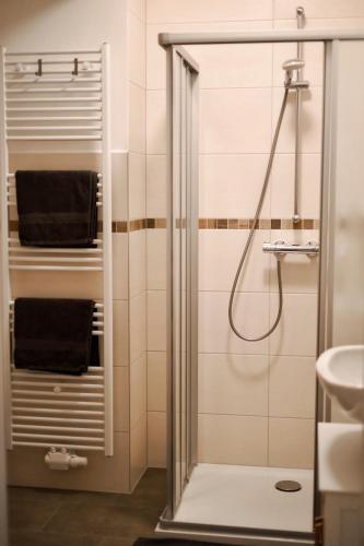 a bathroom with a shower and a sink at Pößnecker Werkstätten - Martin Luther in Pößneck