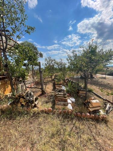 a garden with trees and logs in a field at Gerakini detached house with panoramic sea views in Poligiros