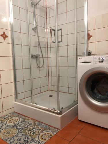 a shower in a bathroom with a washing machine at Noclegi na Sudeckim in Świebodzice