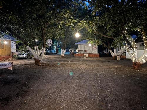 a park at night with trees and lights at Brook Ville in Sasan Gir