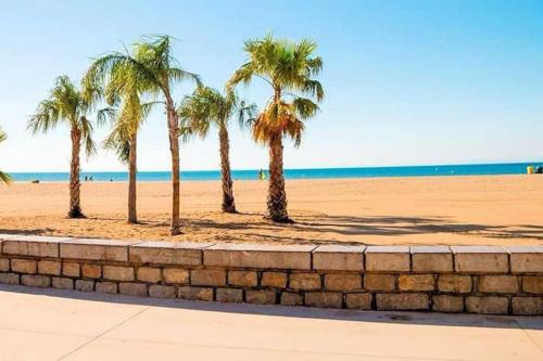 een rij palmbomen op het strand bij Studio en résidence WIFI VALRAS-PLAGE in Valras-Plage