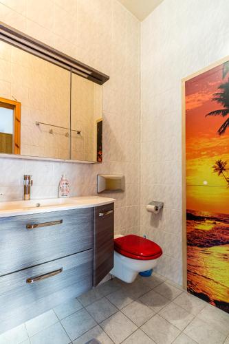 a bathroom with a toilet with a red seat at Apartmenthaus in Chemnitz für Monteure in Chemnitz