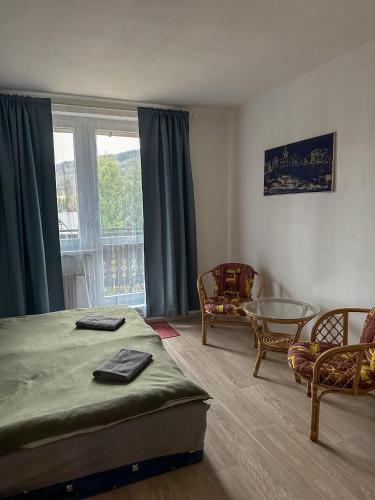 a bedroom with a bed and a table and a window at Řadovka Deštné in Deštné v Orlických horách