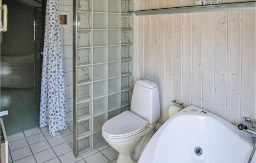SpodsbjergにあるAmazing Home In Rudkbing With Saunaのバスルーム(トイレ、バスタブ付)
