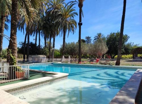 a swimming pool with palm trees in a resort at Pink Lemon House in Elche