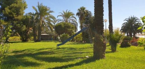 una palmera con un tobogán azul en un árbol en PINK LEMON SUITs, en Elche