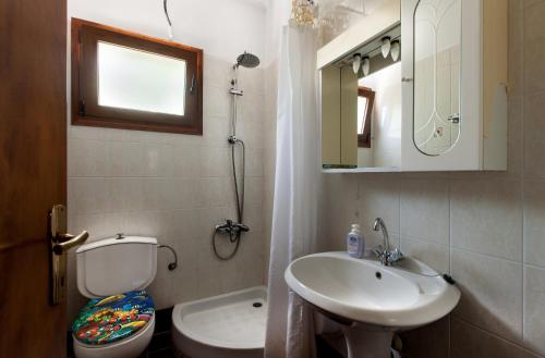 a bathroom with a sink and a toilet and a mirror at Garden Guest Room in Fanari