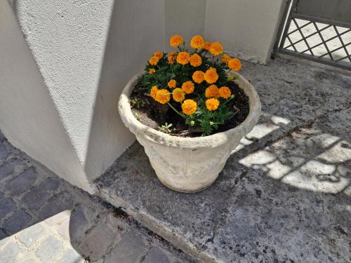 Gambar di galeri bagi The Botanical House di Somerset West