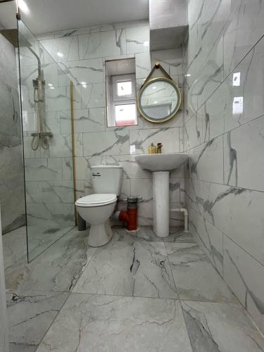 a bathroom with a toilet and a sink and a mirror at Peaceful Studio - Near NEC, BHX Airport. in Birmingham
