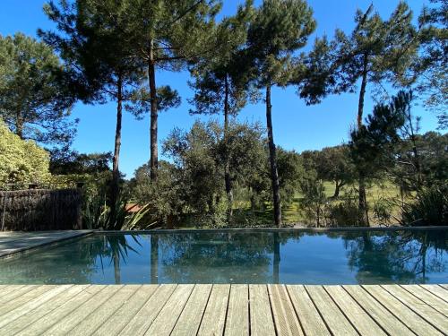 une piscine avec une terrasse et des arbres en arrière-plan dans l'établissement Villa 24 Moliets, à Moliets-et-Maa