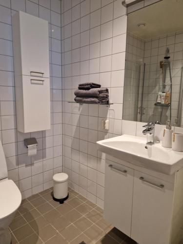 a bathroom with a sink and a toilet and a mirror at Gothenburg City Apartment in Gothenburg