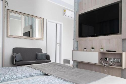 Televízia a/alebo spoločenská miestnosť v ubytovaní Budapest Révay Apartments