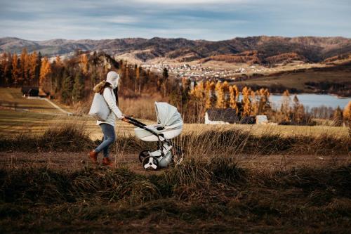 a woman pushing a stroller in a field at Willa Wzgórze in Niedzica Zamek