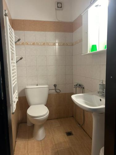 a bathroom with a toilet and a sink at Guest House Popov in Marchevo