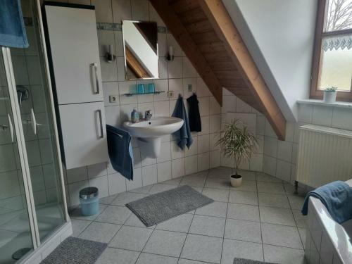 a bathroom with a sink and a shower at Ferienwohnung Metzner Harnsbach in Burgebrach