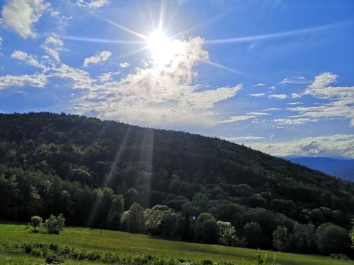 a green hill with the sun shining on it at Ferienland Sonnenwald Studio 50 in Langfurth 