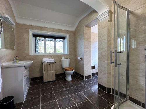 uma casa de banho com um WC, um lavatório e um chuveiro em Craig-y-Dderwen Riverside Hotel em Betws-y-coed