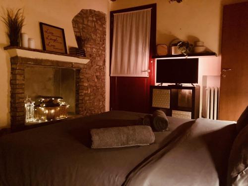een slaapkamer met een bed, een open haard en een televisie bij Residenza Borgo 9 in Collecchio