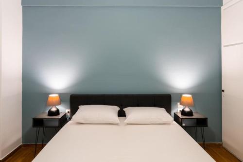Central Elegant Flat